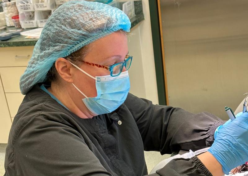 Dearborn Family Pet Care Dearborn veterinarians